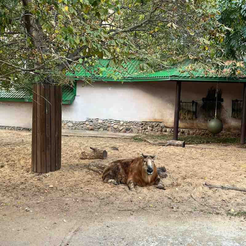 Грек 🇷🇺 post 1