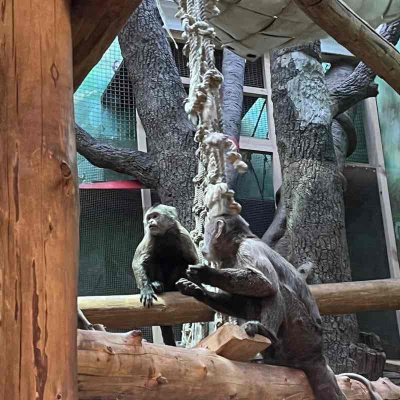 Грек 🇷🇺 post 3