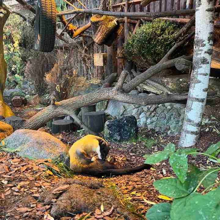 Грек 🇷🇺 post 1