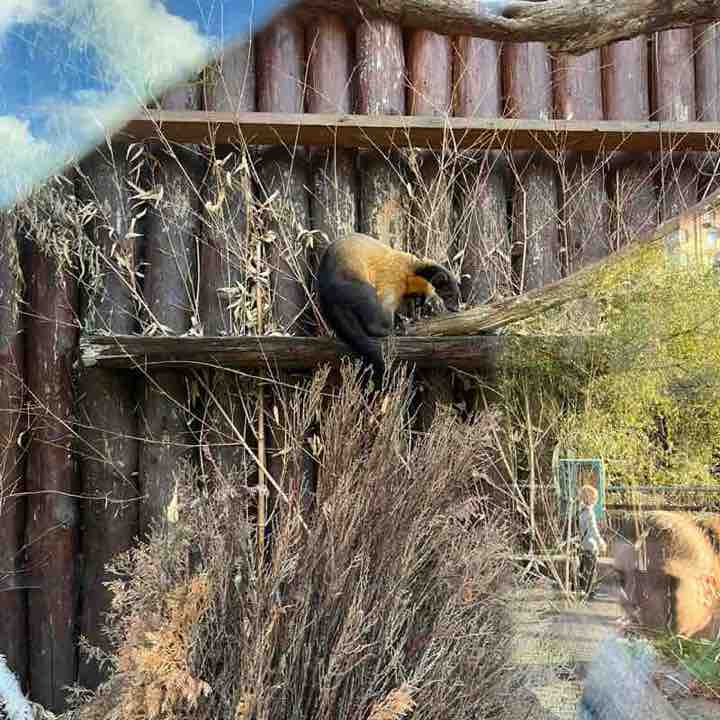 Грек 🇷🇺 post 2