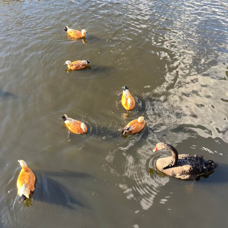 Грек 🇷🇺 post 3