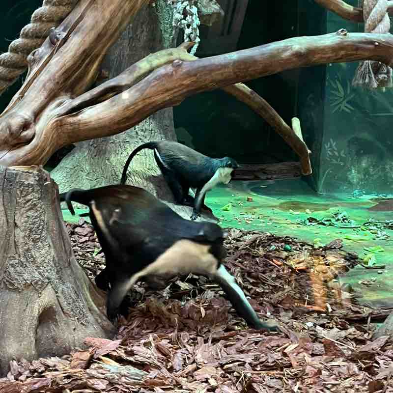 Грек 🇷🇺 post 2