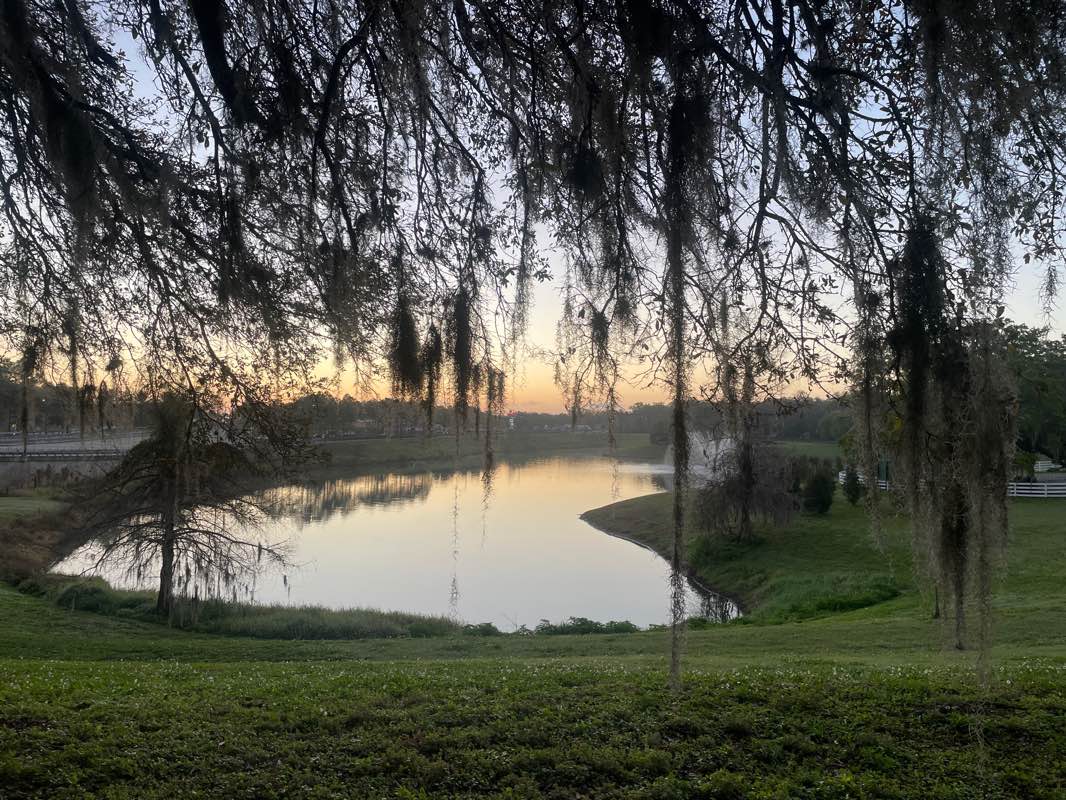 walking near me in Apopka Station in winter