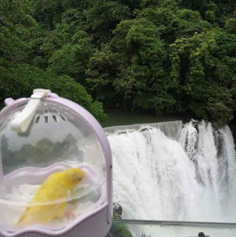 Hsuan post 3