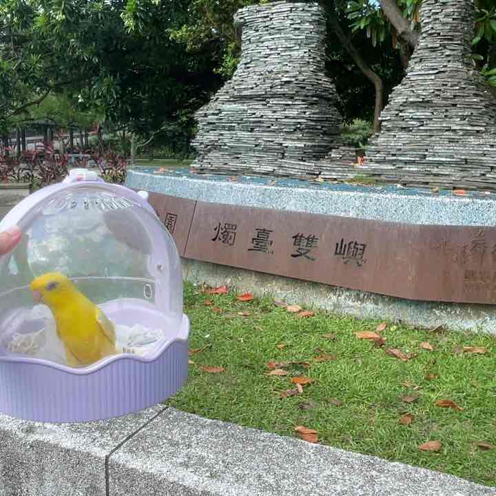 Hsuan post 2