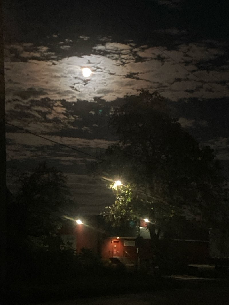 walking near me in Rodger Young Park in autumn