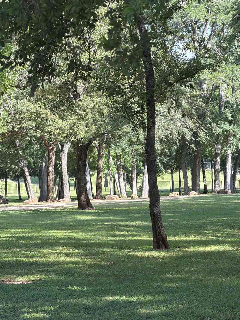 walking near me in Pecan Grove Memorial Park in spring