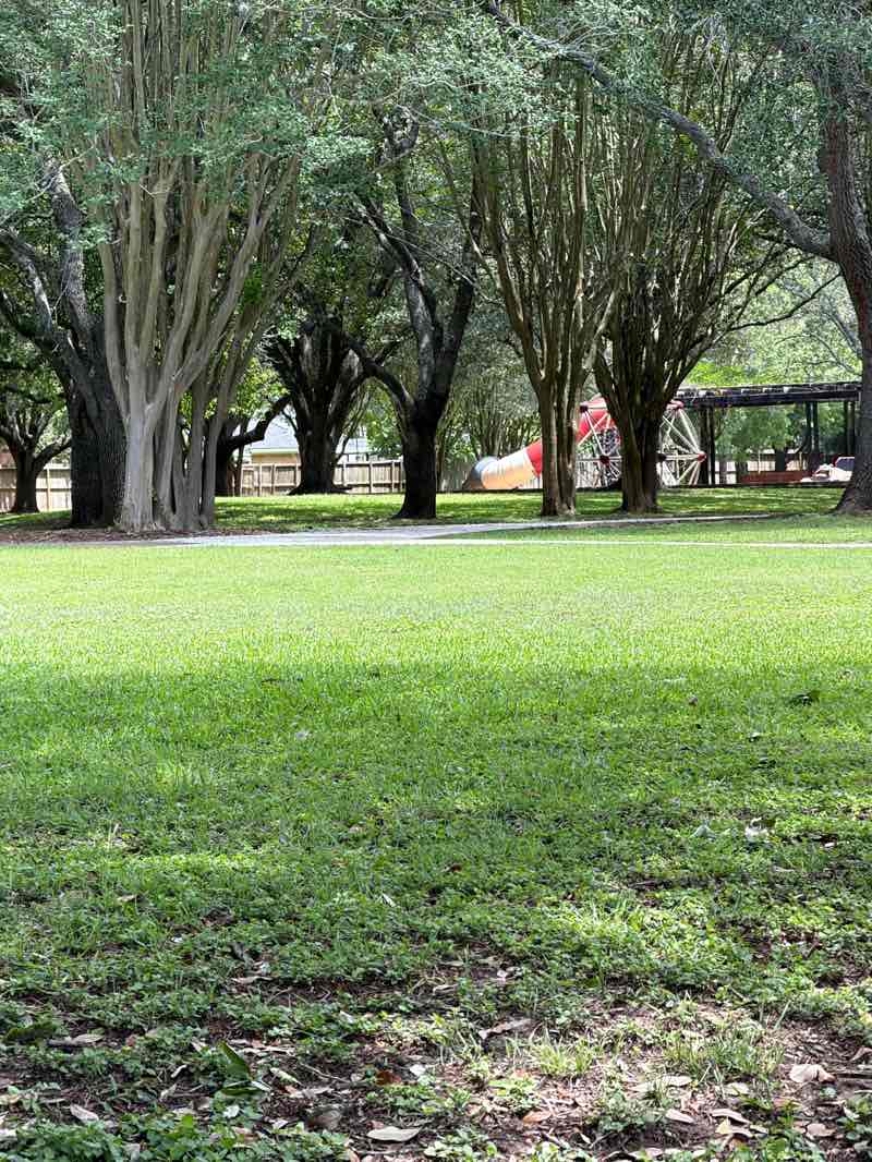 walking near me in Highlands Park in spring