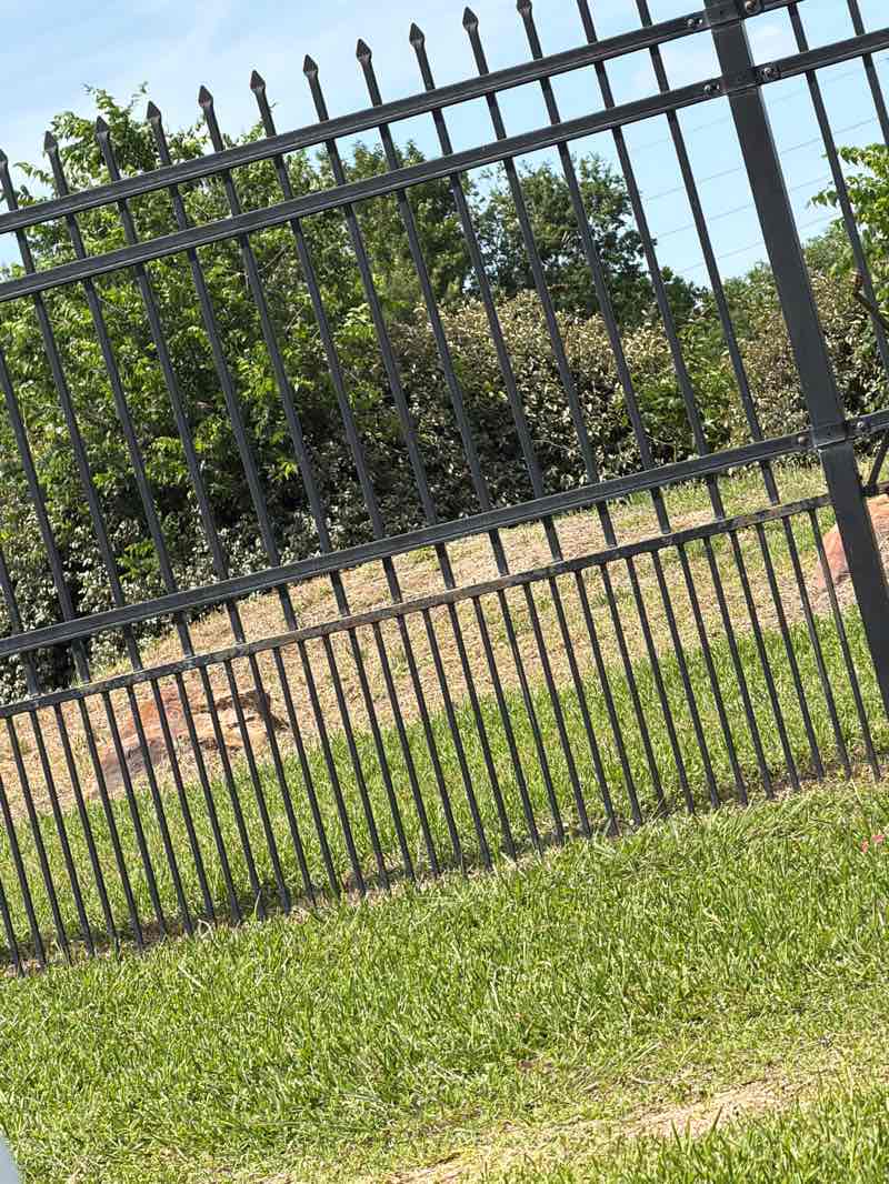 walking near me in Texas Direct Auto Dog Park in spring