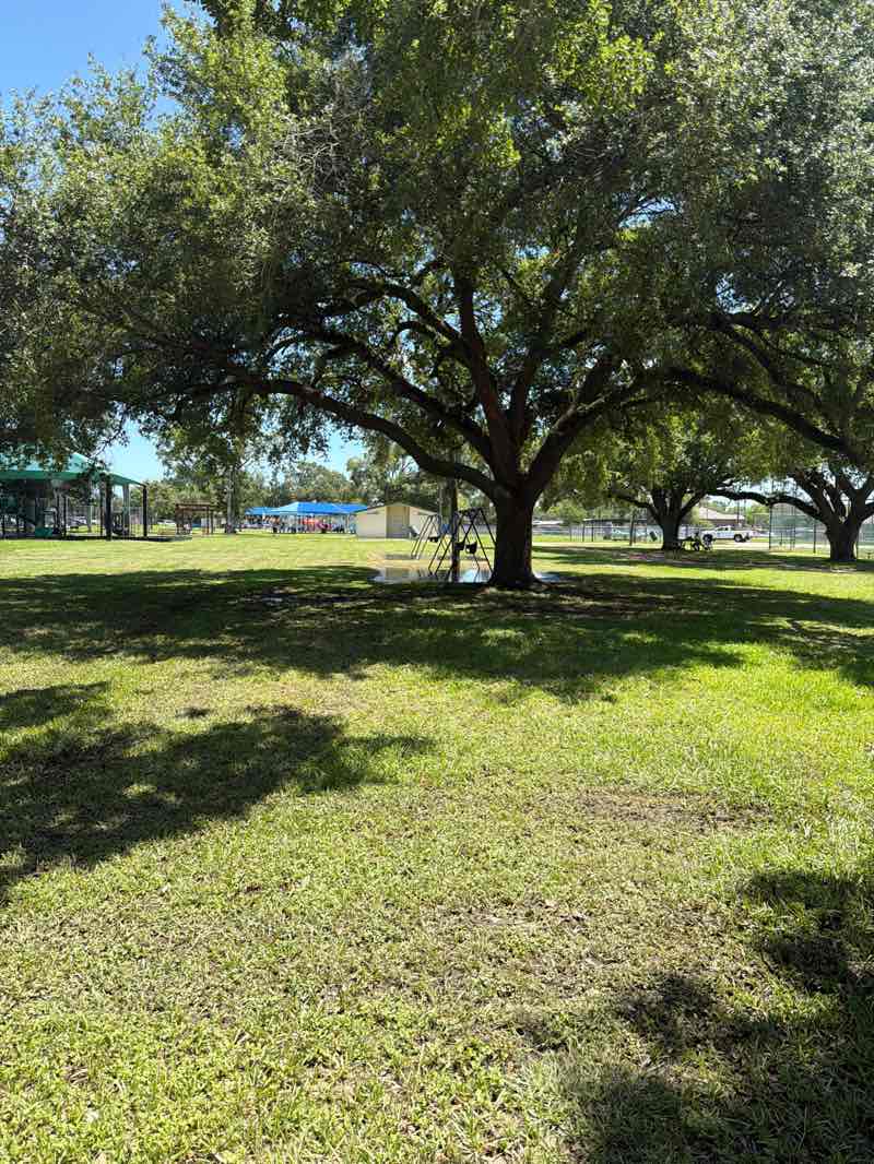walking near me in Travis Park in summer
