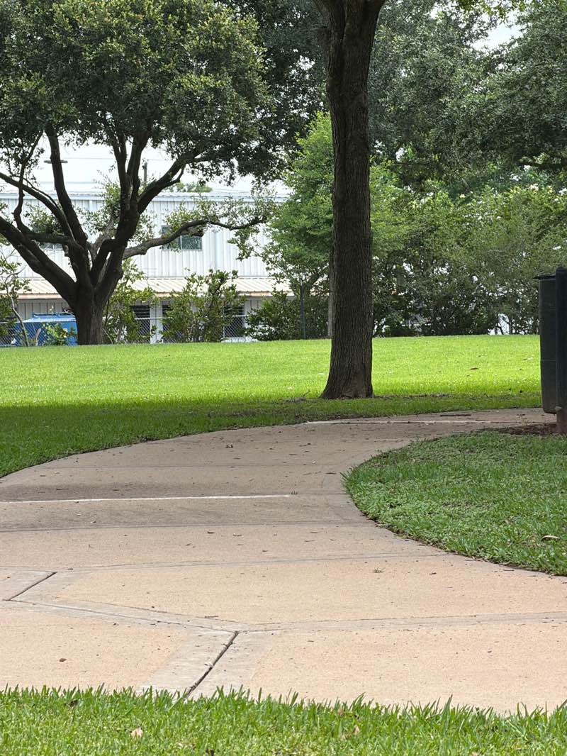 walking near me in Sugar Lakes Park in summer