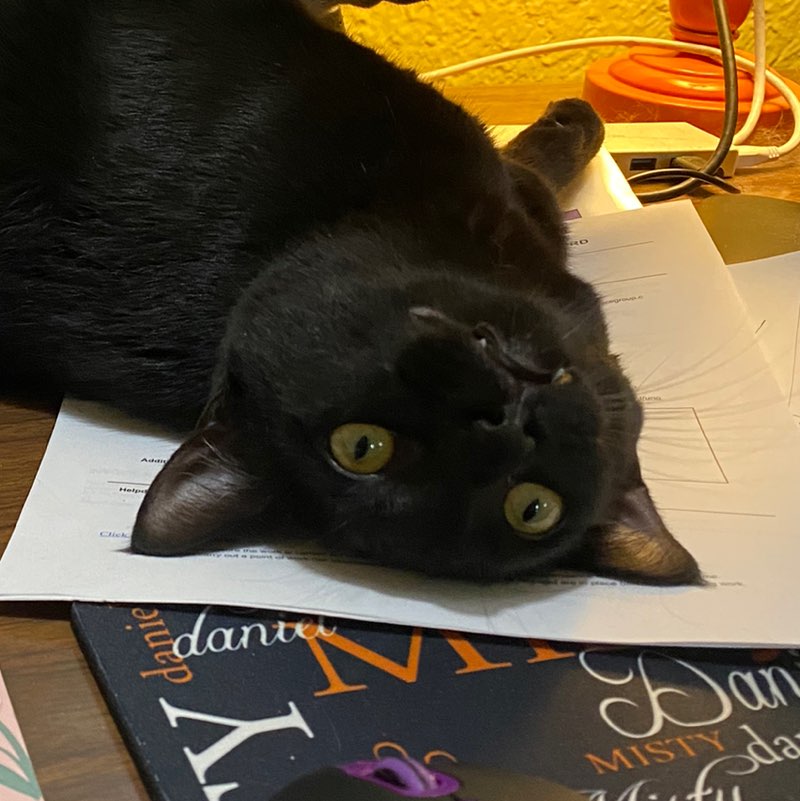 imthecatlady_1977