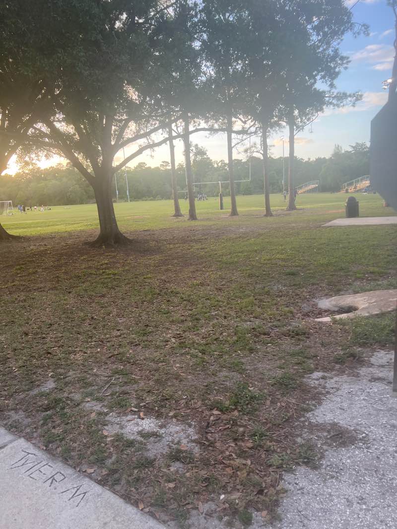 walking near me in Barnett Park in spring