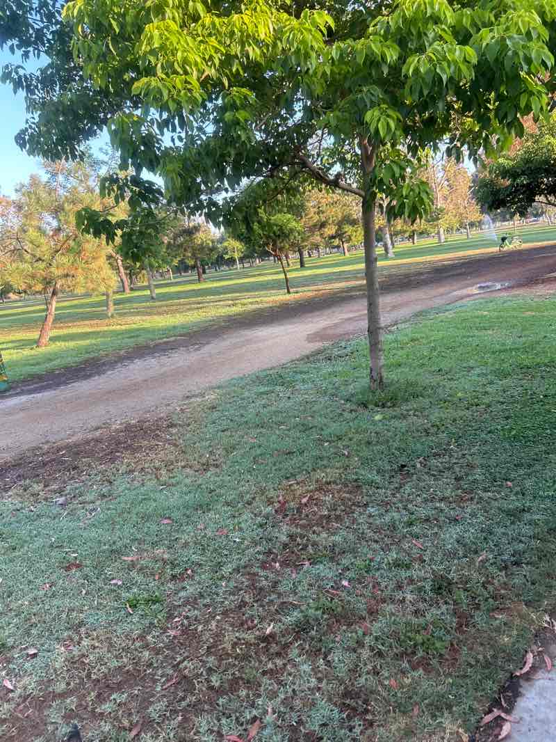 walking near me in North Hollywood Park in summer