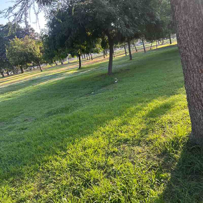 regisf34 post 1