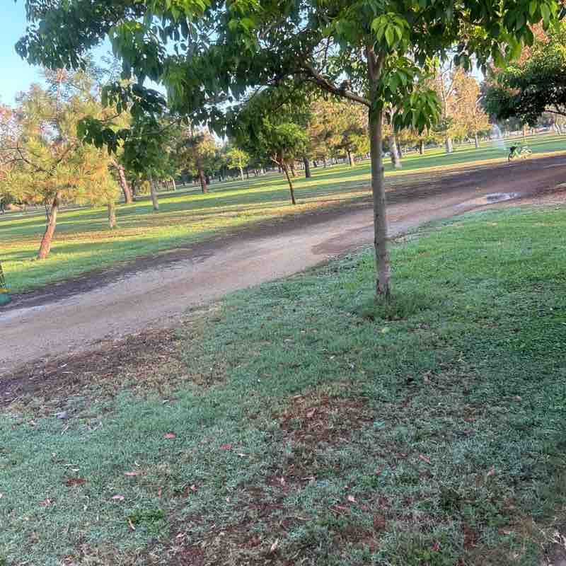 regisf34 post 1