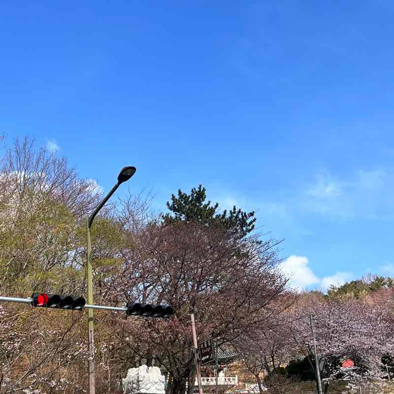 小厨妈咪 post 2