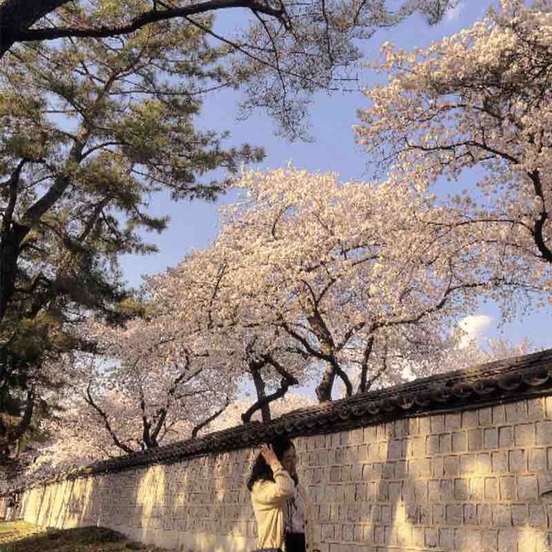 小厨妈咪 post 2