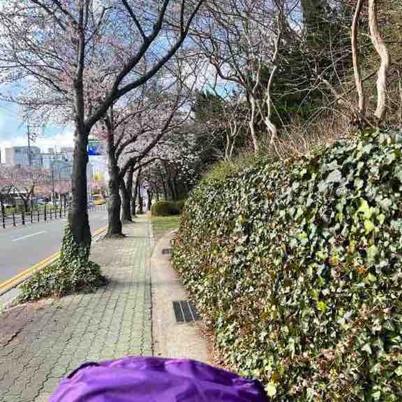 小厨妈咪 post 1