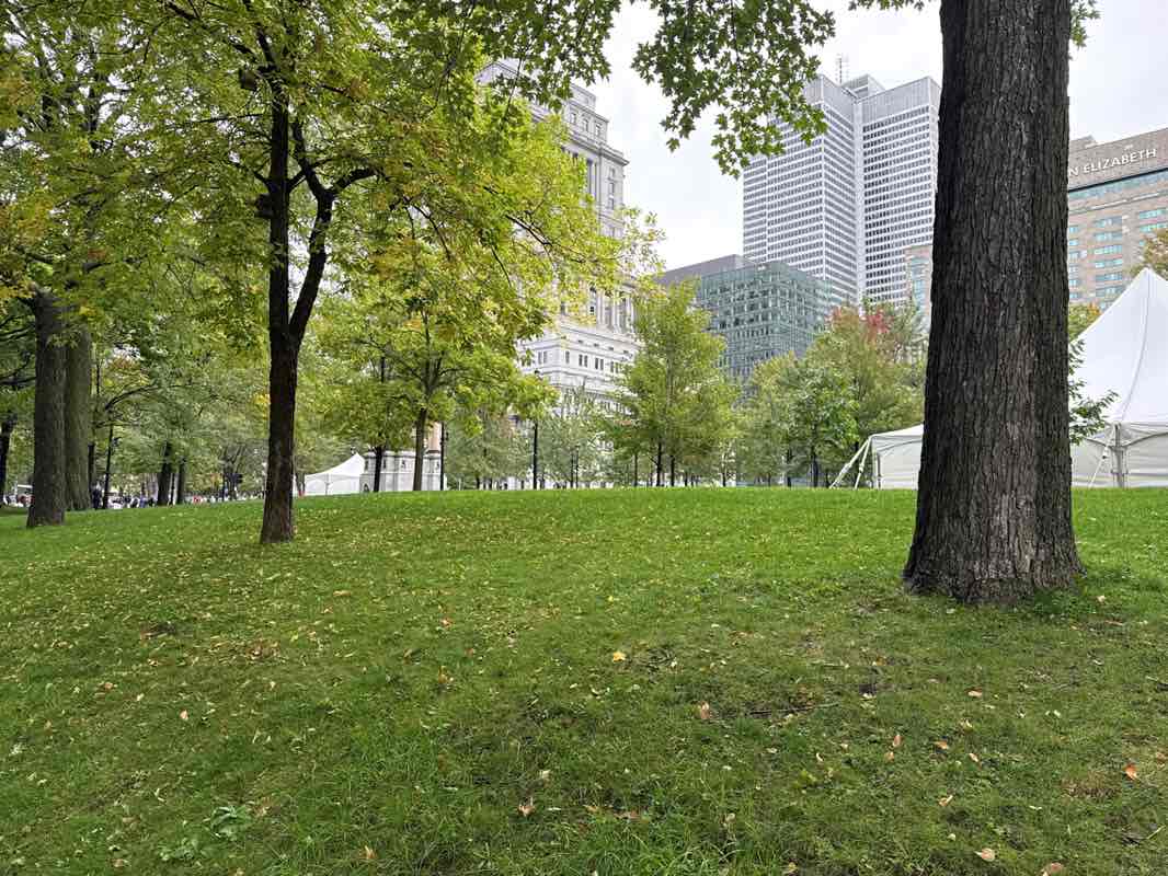 walking near me in Place du Canada in autumn