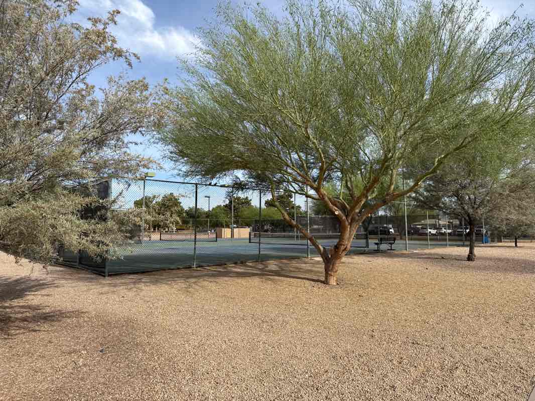 walking near me in Thunderbird/Redfield Park in spring
