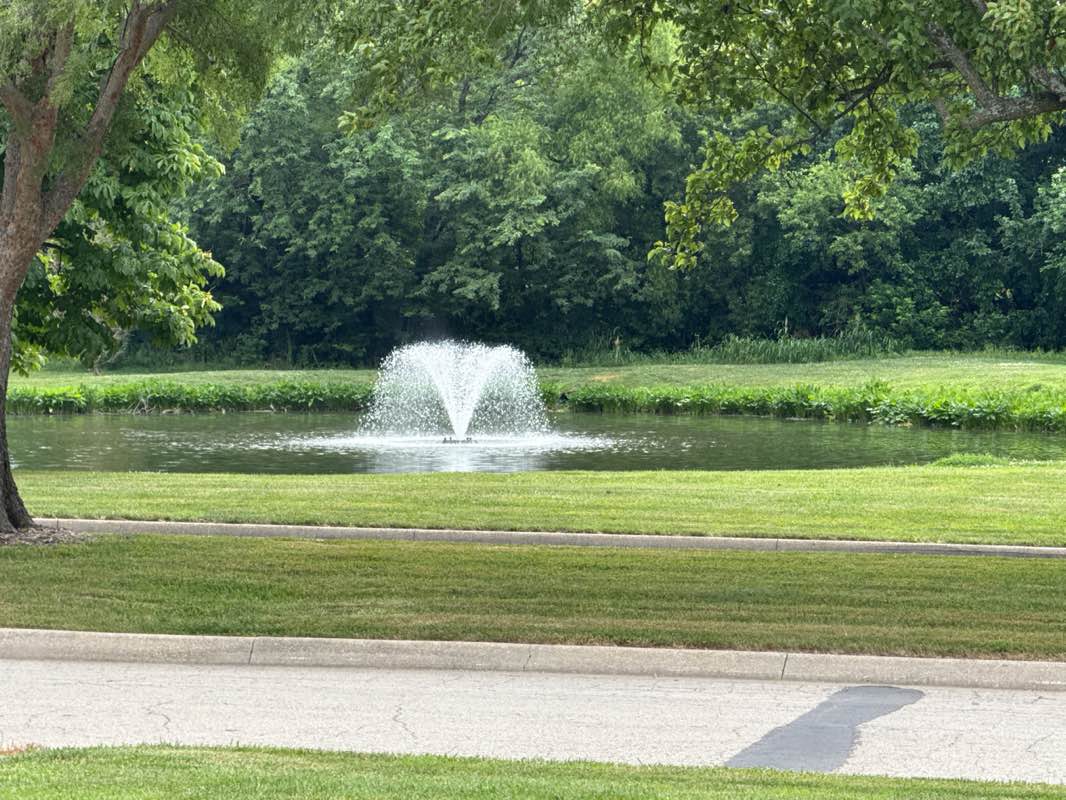 walking near me in Black Bob Park in summer