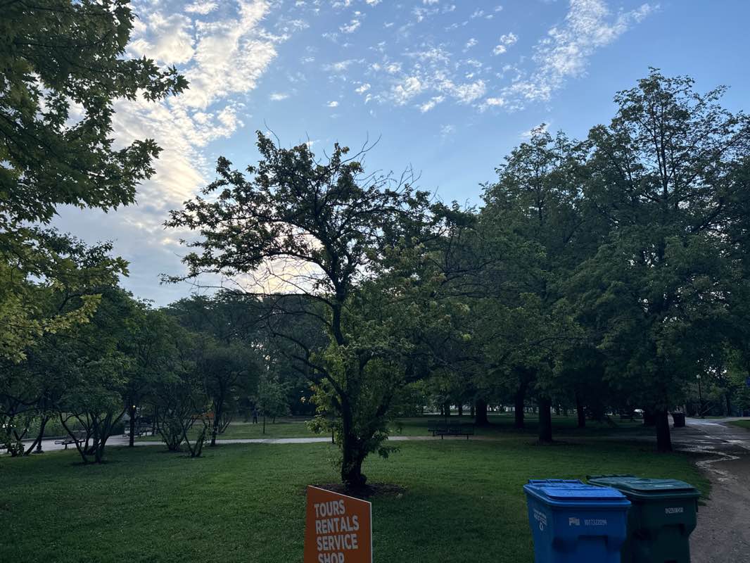 walking near me in Jane Addams Memorial Park in summer