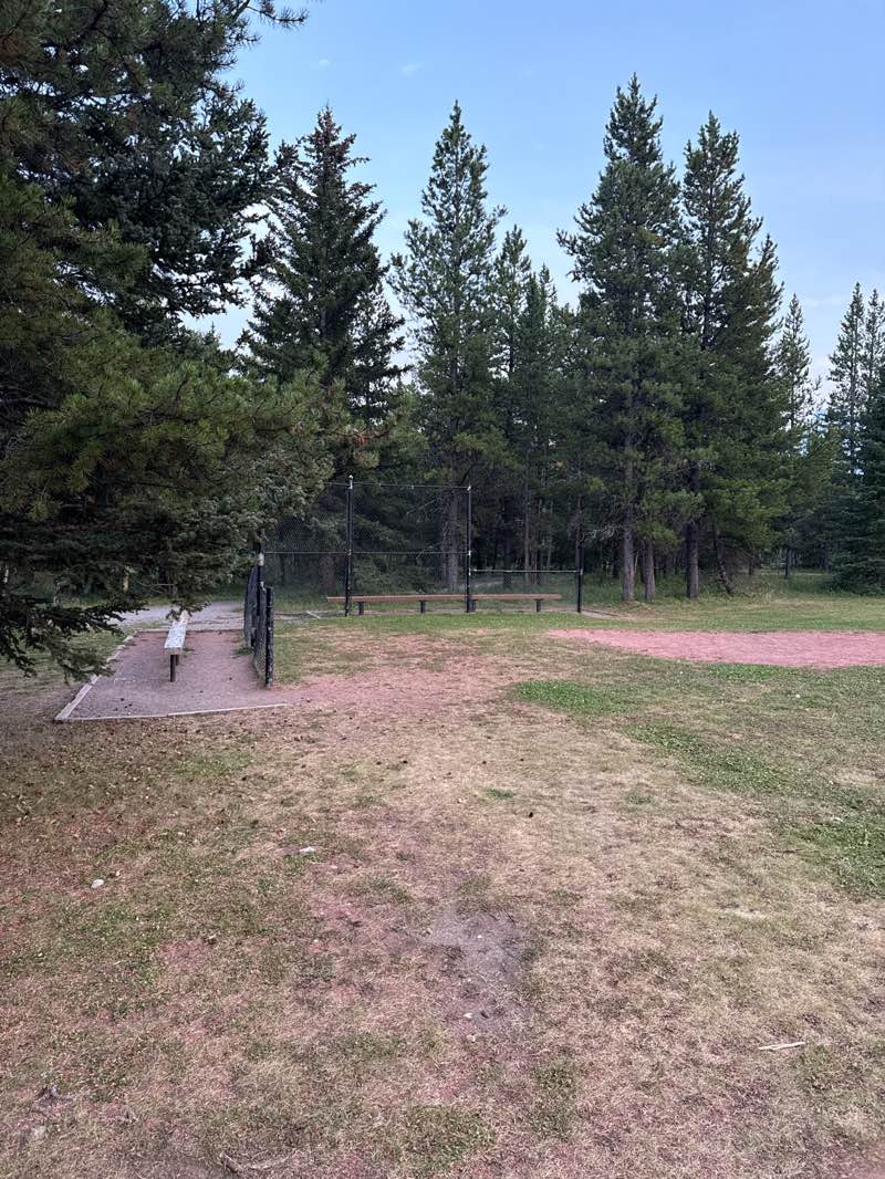 walking near me in Evan-Thomas Provincial Recreation Area in autumn
