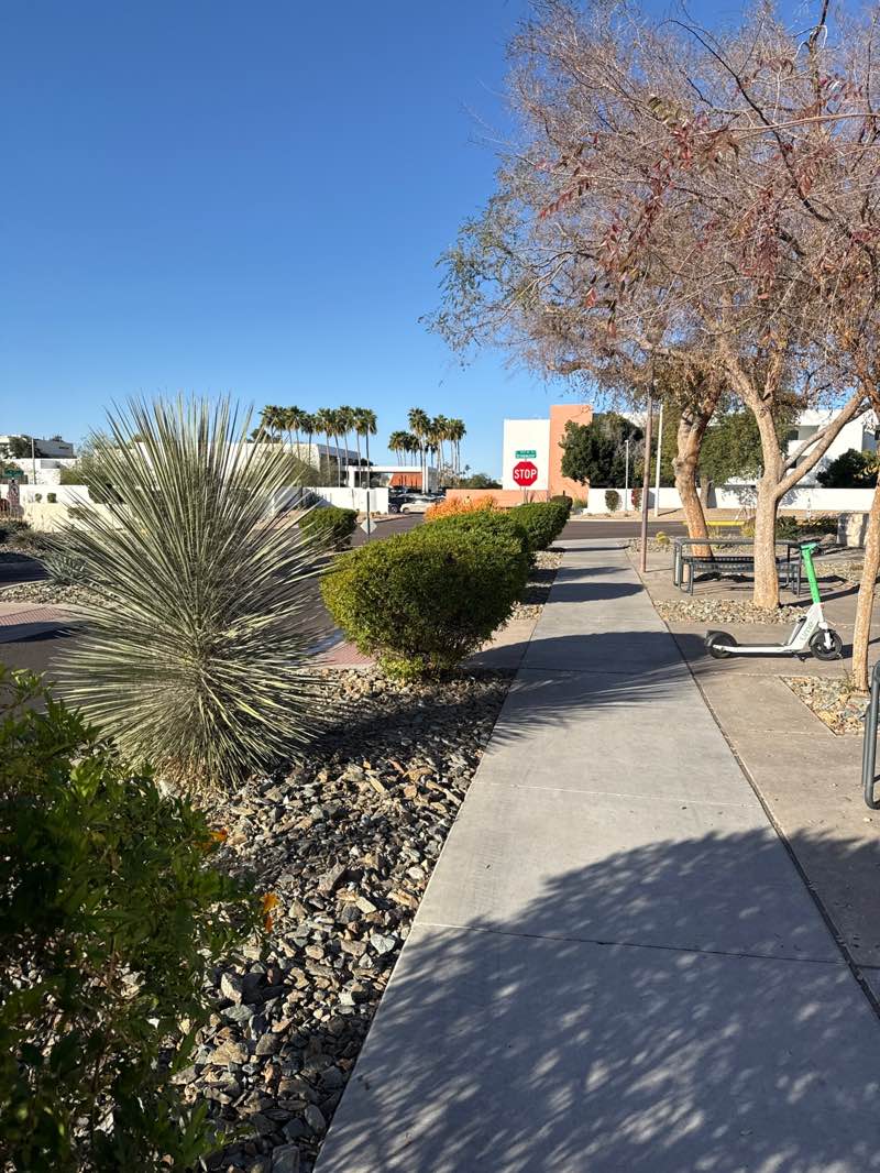 walking near me in Scottsdale Civic Center Mall in winter
