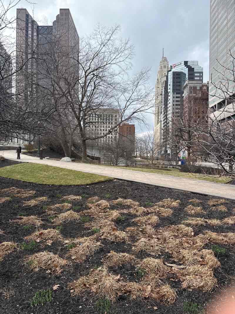 walking near me in Capitol Square in winter
