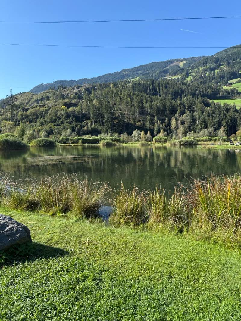 walking near me in Freizeitpark Zell in autumn