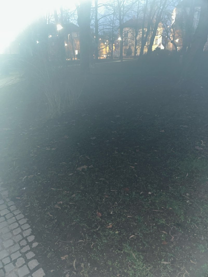 walking near me in Park Tabor in winter