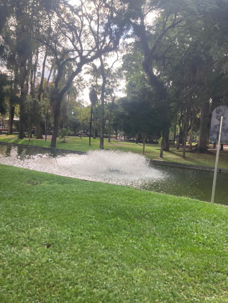 walking near me in Passeio Público in summer