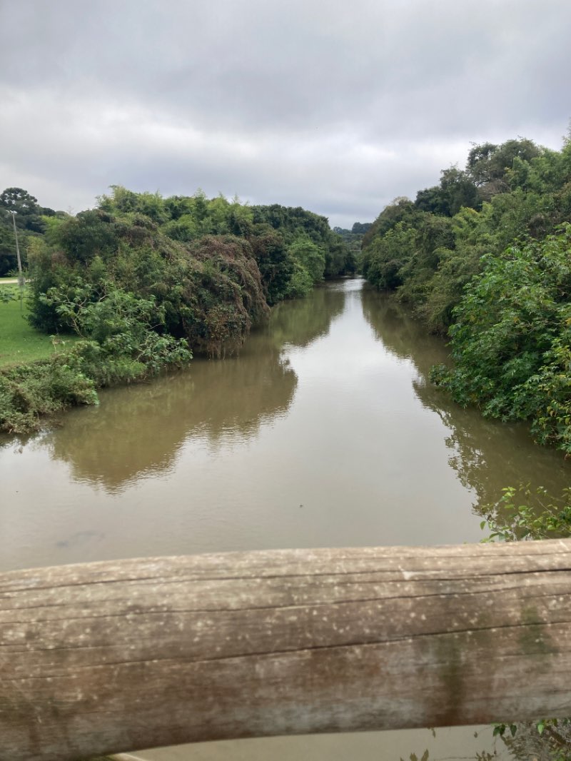 walking near me in Parque Barigui in summer