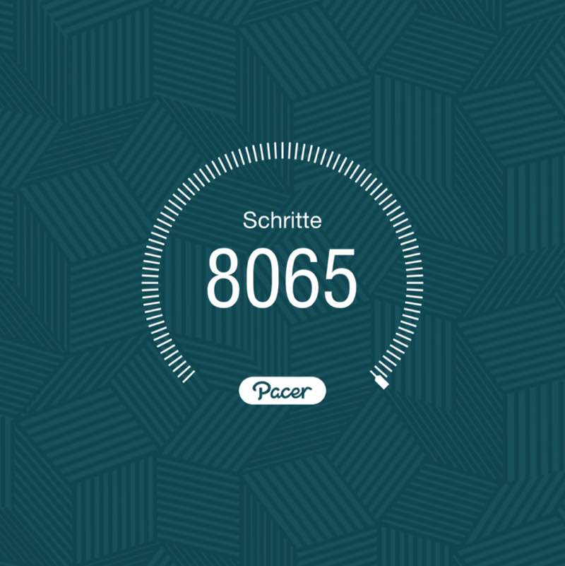 PacerTyp_1954 post 1