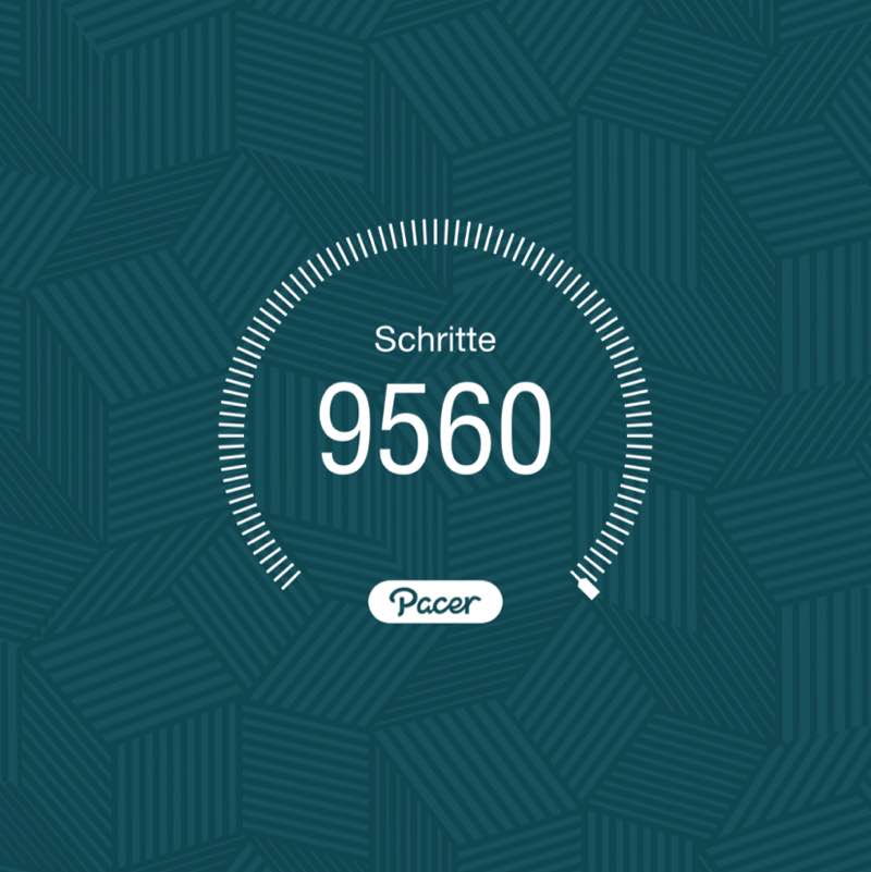 PacerTyp_1954 post 1