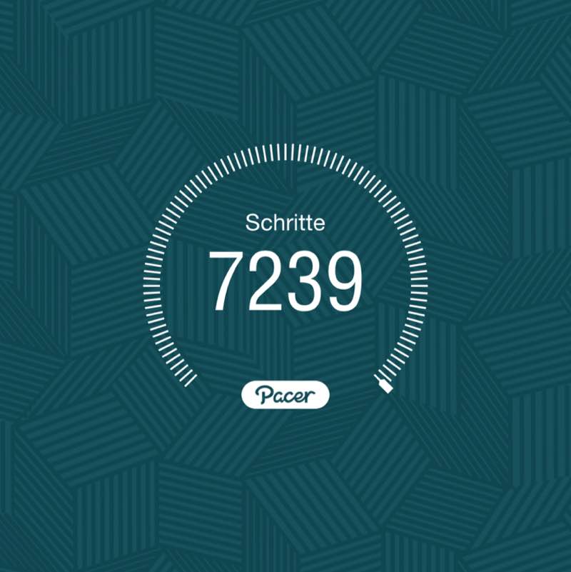 PacerTyp_1954 post 1