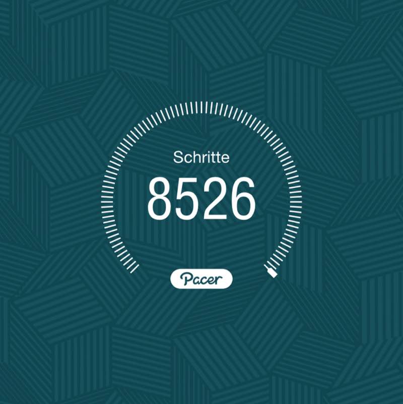 PacerTyp_1954 post 1