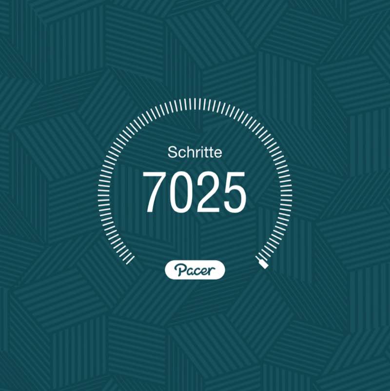 PacerTyp_1954 post 1