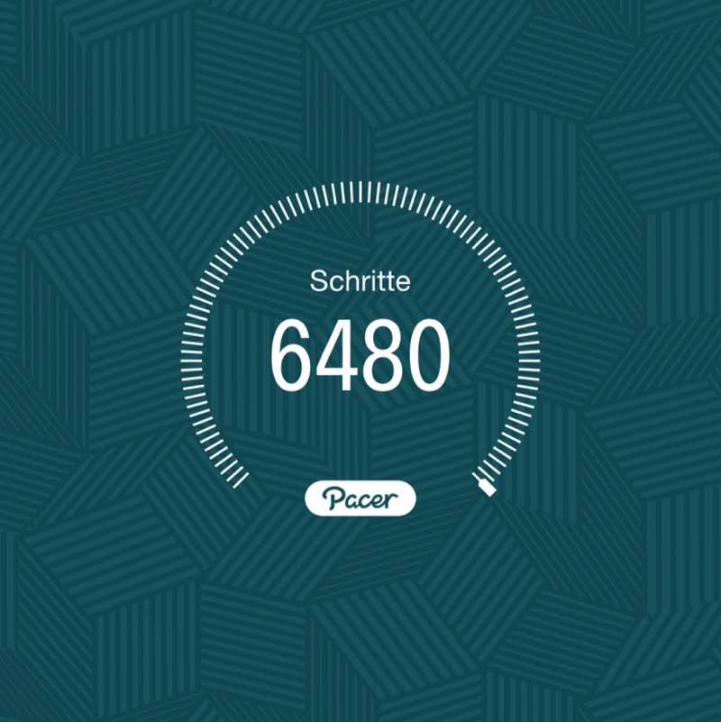 PacerTyp_1954 post 1