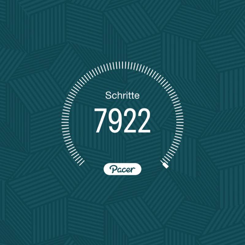 PacerTyp_1954 post 1