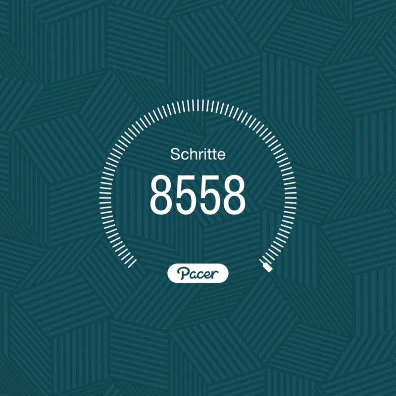 PacerTyp_1954 post 1