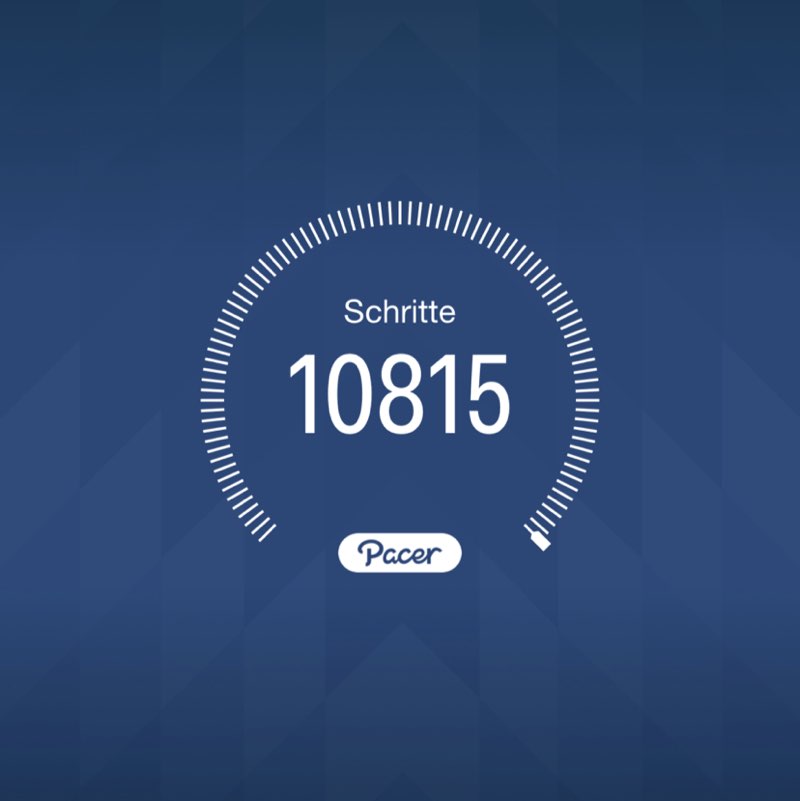 PacerTyp_1954 post 1