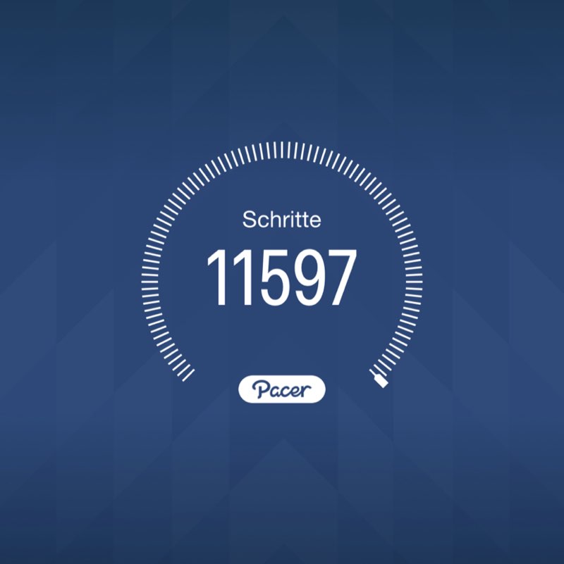 PacerTyp_1954 post 1
