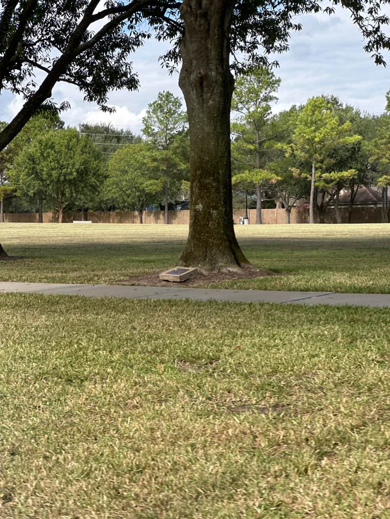 walking near me in George Bush Park Hike & Bike Trails in autumn
