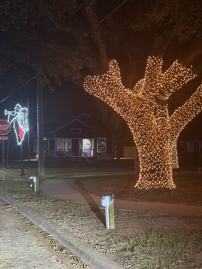 walking near me in Lion Park in autumn