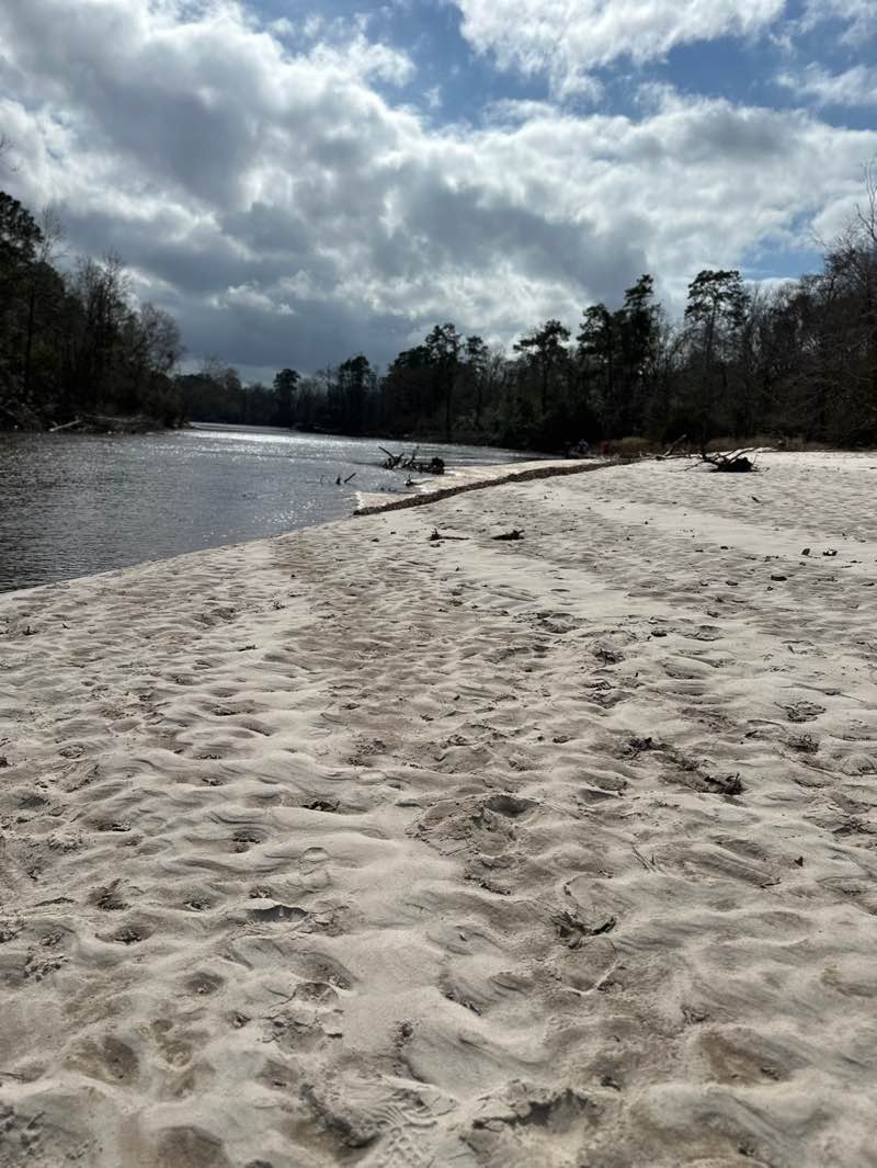 walking near me in Village Creek State Park in winter