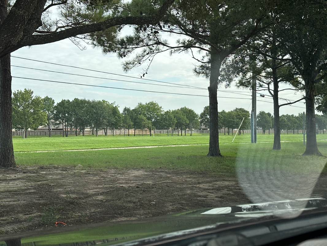 walking near me in Highland Park in summer