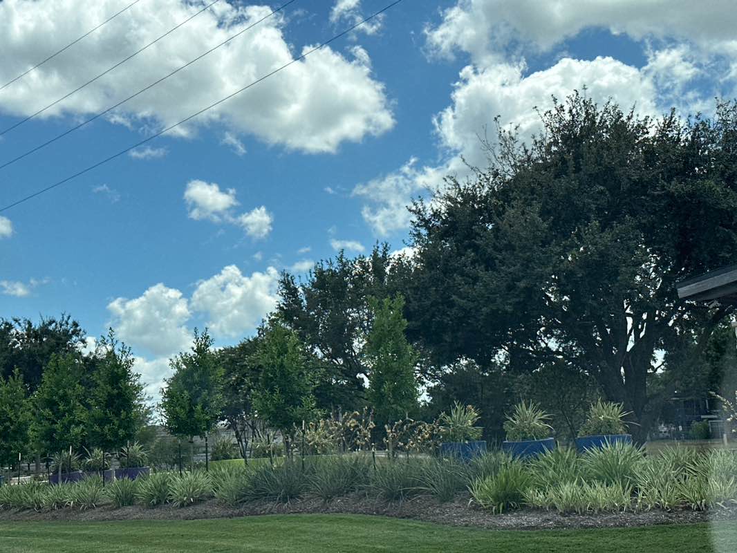 walking near me in Rick Rice Park in autumn