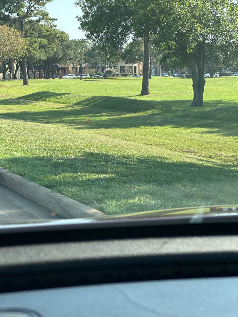 walking near me in Willow Fork Park in autumn